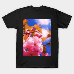 Summer Blossom - Summer 2010 T-Shirt